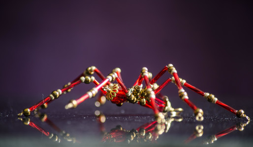 Red Spider